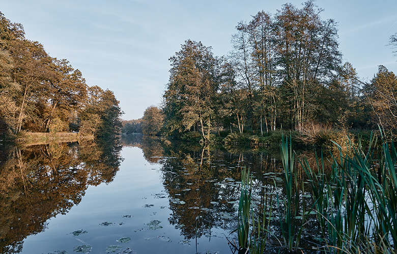 Entlang der Vils 01