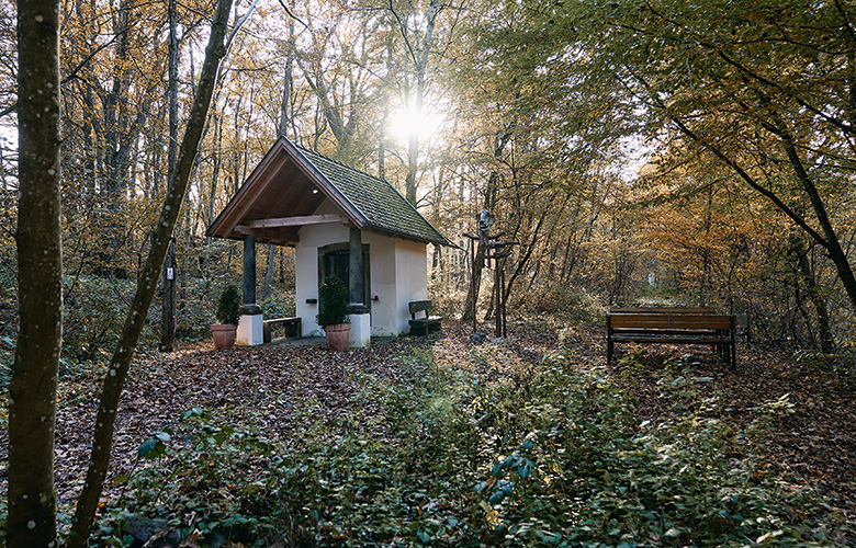Entlang der Vils 03
