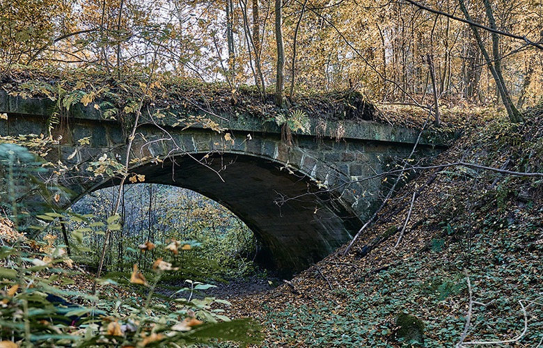 Entlang der Vils 05