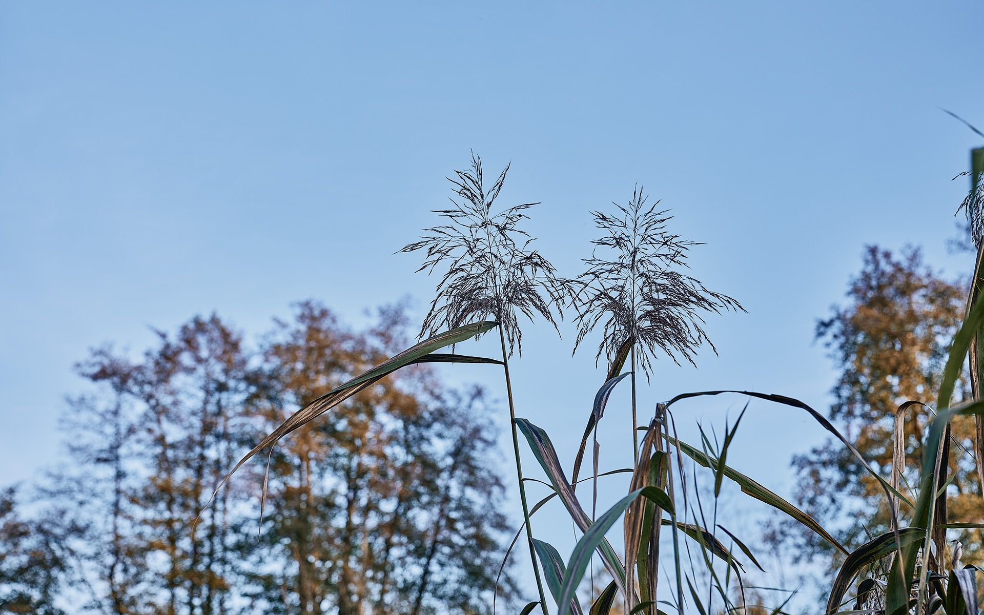 Wandern an der Vils